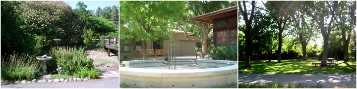 garden, fountain, and trees